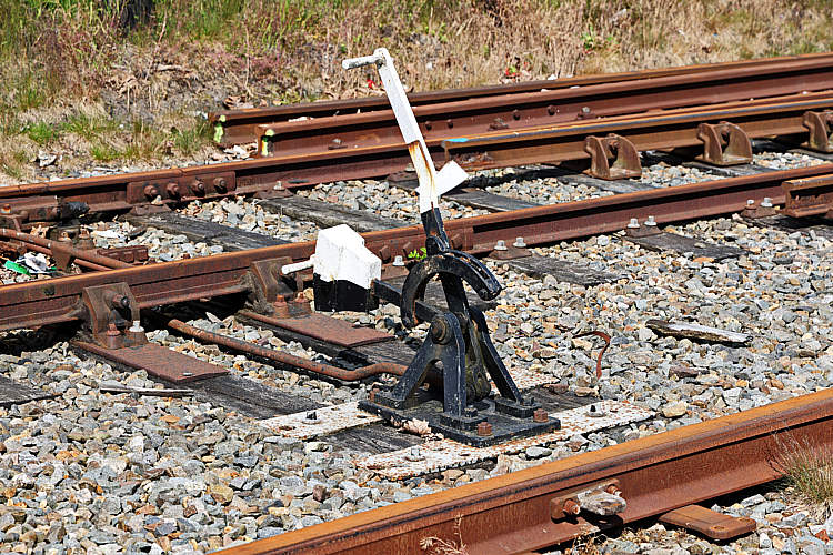 SDWA seniorenuitje2023_031